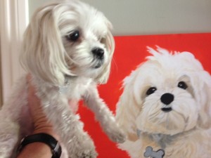 puppy, dog, portrait, painting, art, puppy portrait, dog portrait, wall art