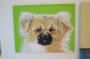 dog, puppy, spaniel, Tibetan, painting, portrait, drawing, pet, pets, animals, art