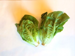 lettuce pic